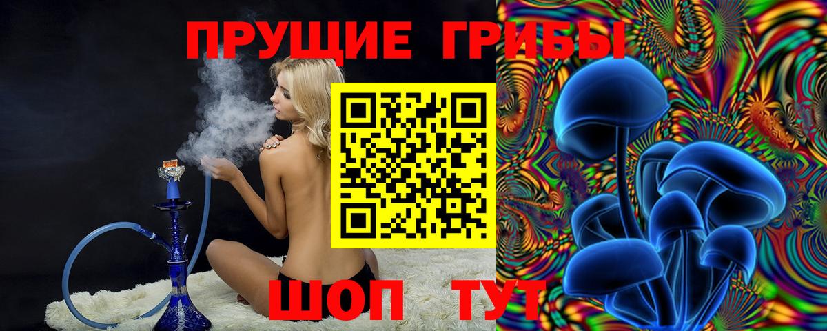 наркота  Вход с VPN  Видное  Псилоцибиновые грибы прущие грибы 