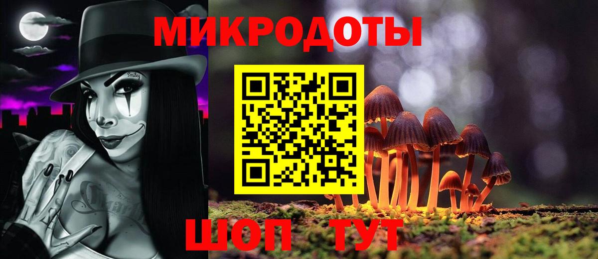 Галлюциногенные грибы Psilocybine cubensis Видное